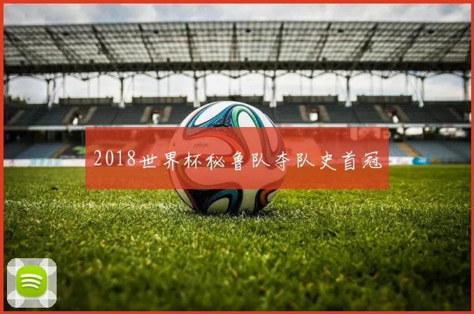 2018世界杯秘鲁队夺队史首冠